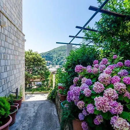 Apartment Pavo *